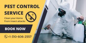 Pest Control Service in Los Angeles