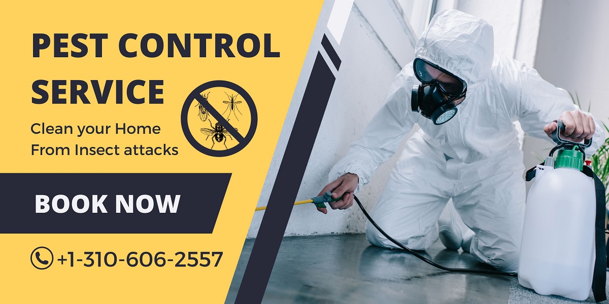 Pest Control Service in Los Angeles